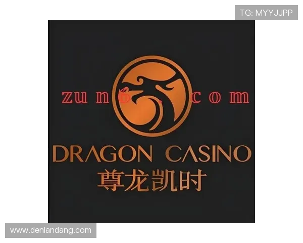 快速掌握尊龙凯时手机版下载安装，成为游戏达人不是梦