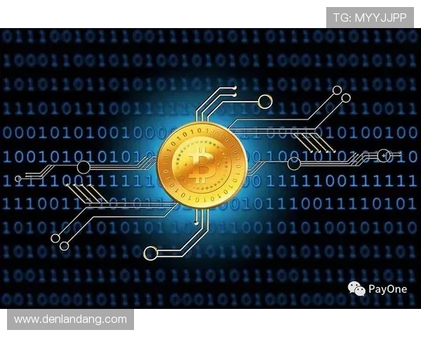 博天堂官网支付方式多样，支持多种便捷支付渠道确保资金快速到账