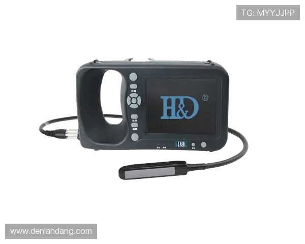 尊龙凯时app官网最新版本下载安装指南与安全保障措施详解